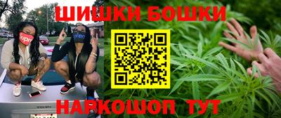 jwh Гатчина