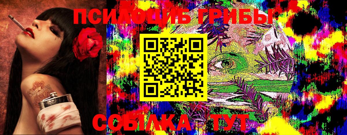 Галлюциногенные грибы Psilocybe Гусиноозёрск